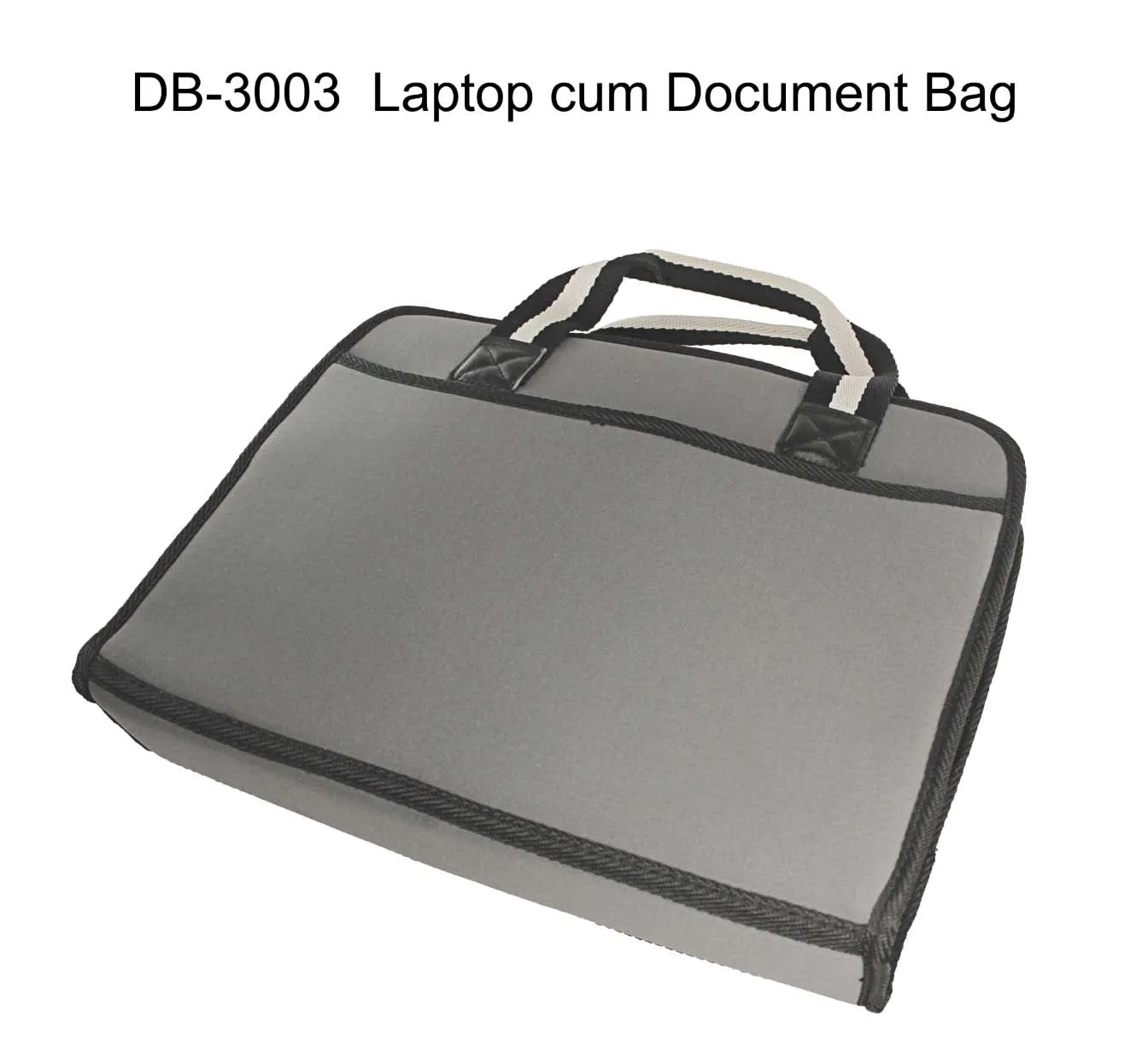 Laptop cum Document Bag