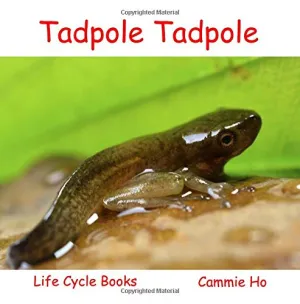 Tadpole Tadpole (Life Cycle Books) Paperback  April 1, 2016