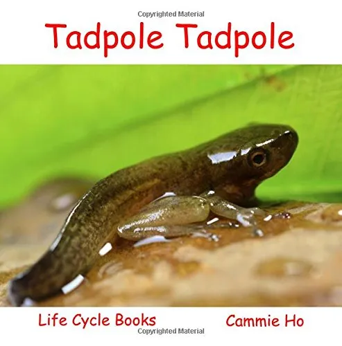 Tadpole Tadpole (Life Cycle Books) Paperback  April 1, 2016